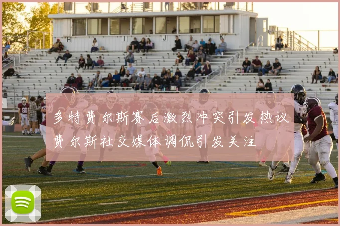 多特费尔斯赛后激烈冲突引发热议费尔斯社交媒体调侃引发关注