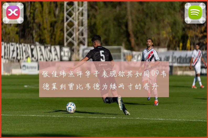 张佳玮点评华子表现称其如同09韦德莱利曾比韦德为矮两寸的乔丹